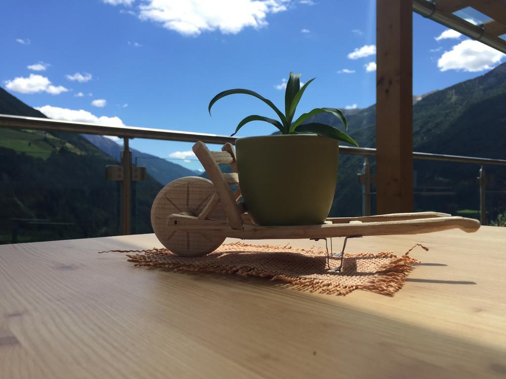 Appartement Grossstahlhof Mountain & Panorama View à Ahrntal Extérieur photo